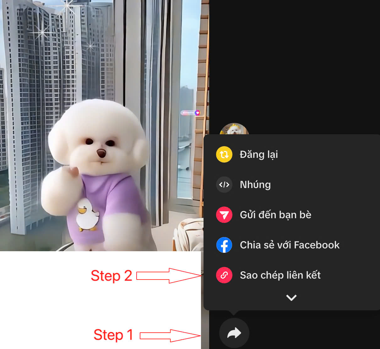 Guide to getting the link to use with TikTok Downloader